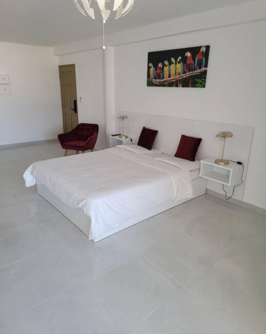 Hello Guyane, Suite Collection Cayenne Eksteriør bilde