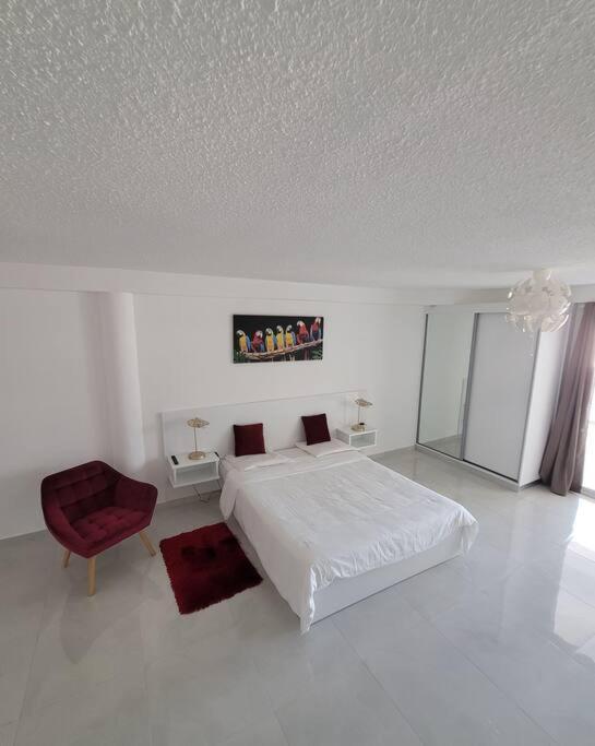 Hello Guyane, Suite Collection Cayenne Eksteriør bilde