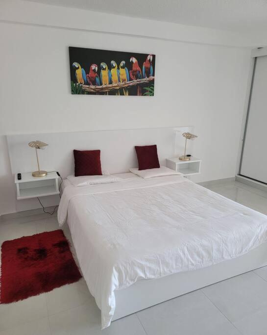 Hello Guyane, Suite Collection Cayenne Eksteriør bilde
